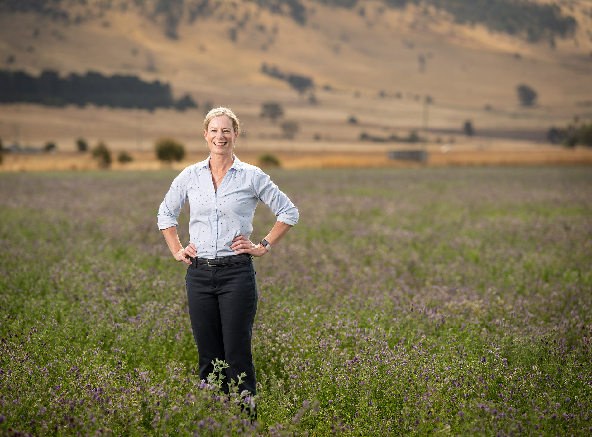 Contact Rebecca Main Image